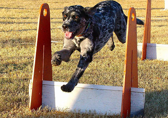 96dbe3 f145eec70e94492ba75ed527bb05c8dc