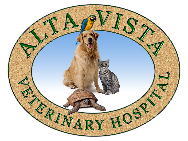 AltaVista VET Logo